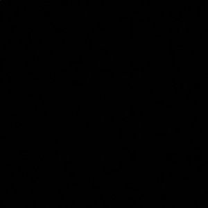 Meet your Posher, Elham